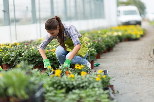 Team of gardeners preparing a Manor Park garden for landscaping