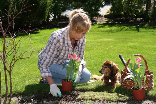 Seasonal garden maintenance tips