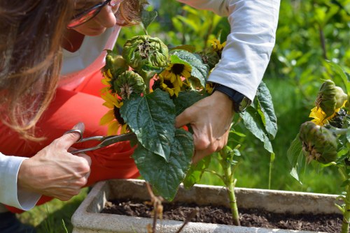 Low-carbon van loading sorted garden waste