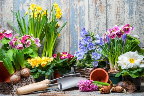 Professional garden clearance in action
